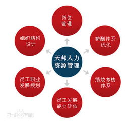 鄭州社保公積金代理、勞務派遣及人事外包服務市場概況